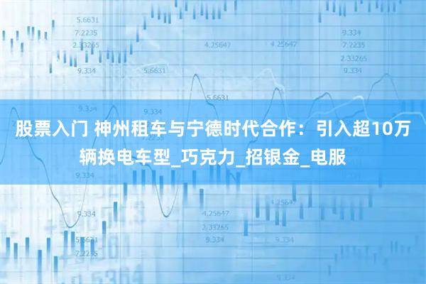 股票入门 神州租车与宁德时代合作：引入超10万辆换电车型_巧克力_招银金_电服